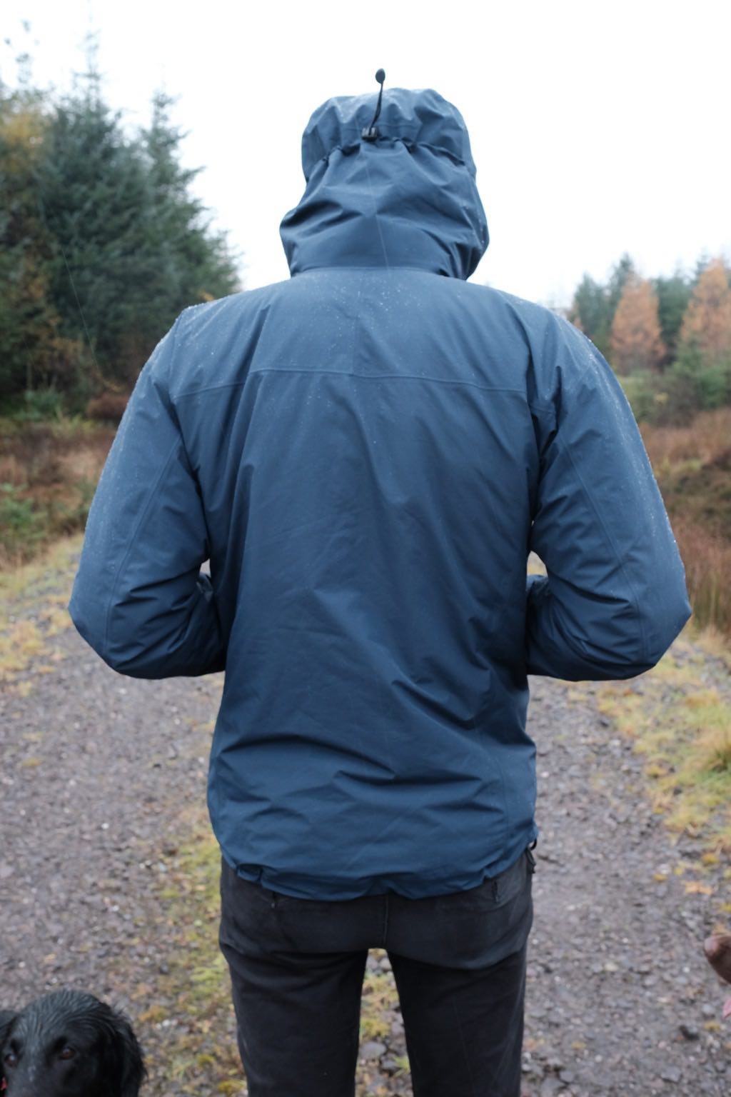 Arcteryx Beta SL with Rab Microlight