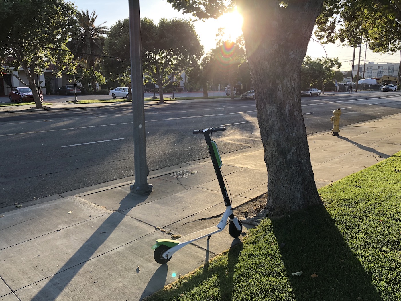 Lime Scooters